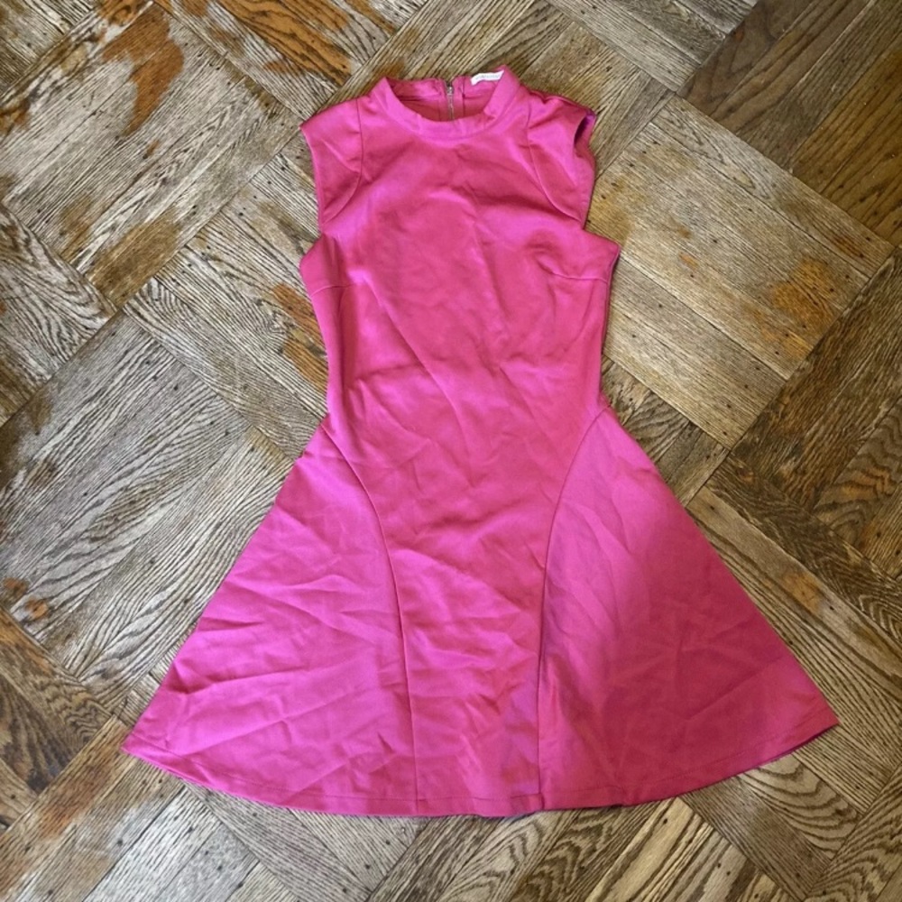 Mustard Seed Skate Dress